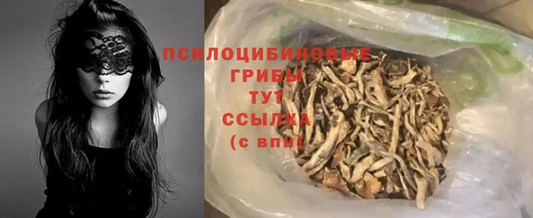 эйфоретик Козловка
