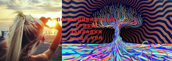 скорость mdpv Кинешма