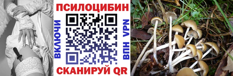 Галлюциногенные грибы MAGIC MUSHROOMS Купить где Болхов