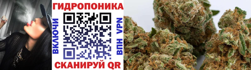 Купить  Болхов  Бошки марихуана Amnesia 